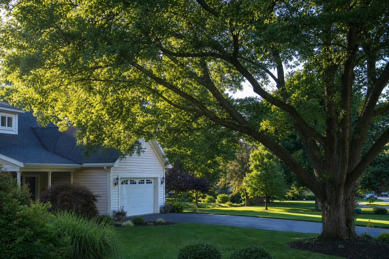 Mature residential yard trees near Cetronia and South Whitehall