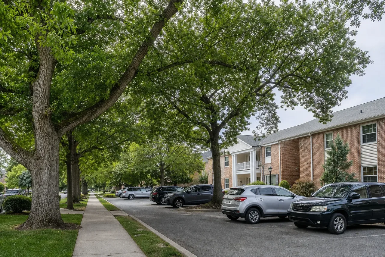 Residential and managed-property tree canopy near Whitehall Pennsylvania