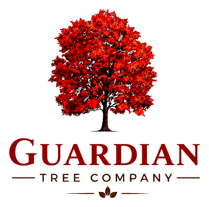 Guardian Tree Company full color logo