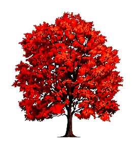 Guardian Tree Company tree mark